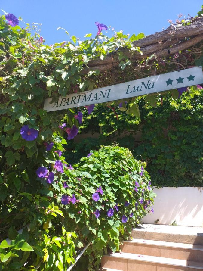 Apartmani Luna Hvar Town Buitenkant foto