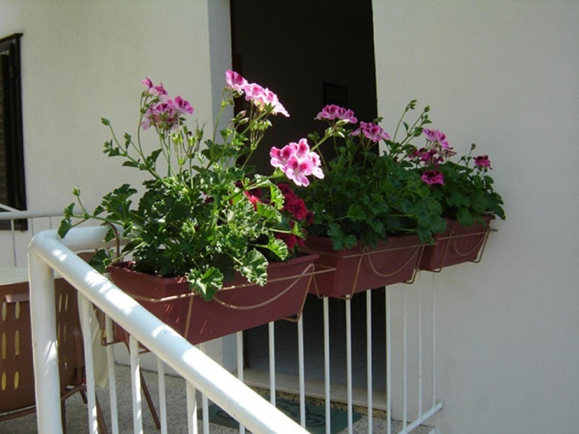 Apartmani Luna Hvar Town Buitenkant foto