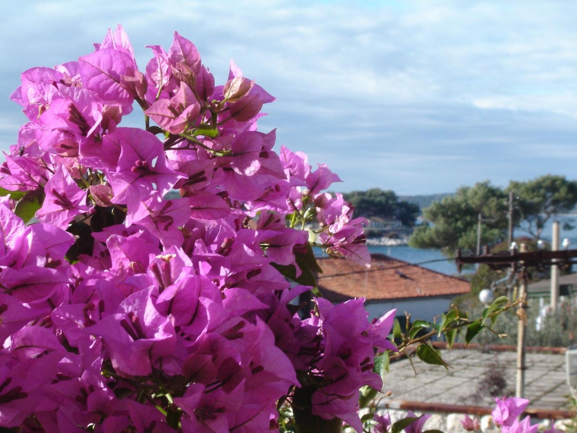 Apartmani Luna Hvar Town Buitenkant foto