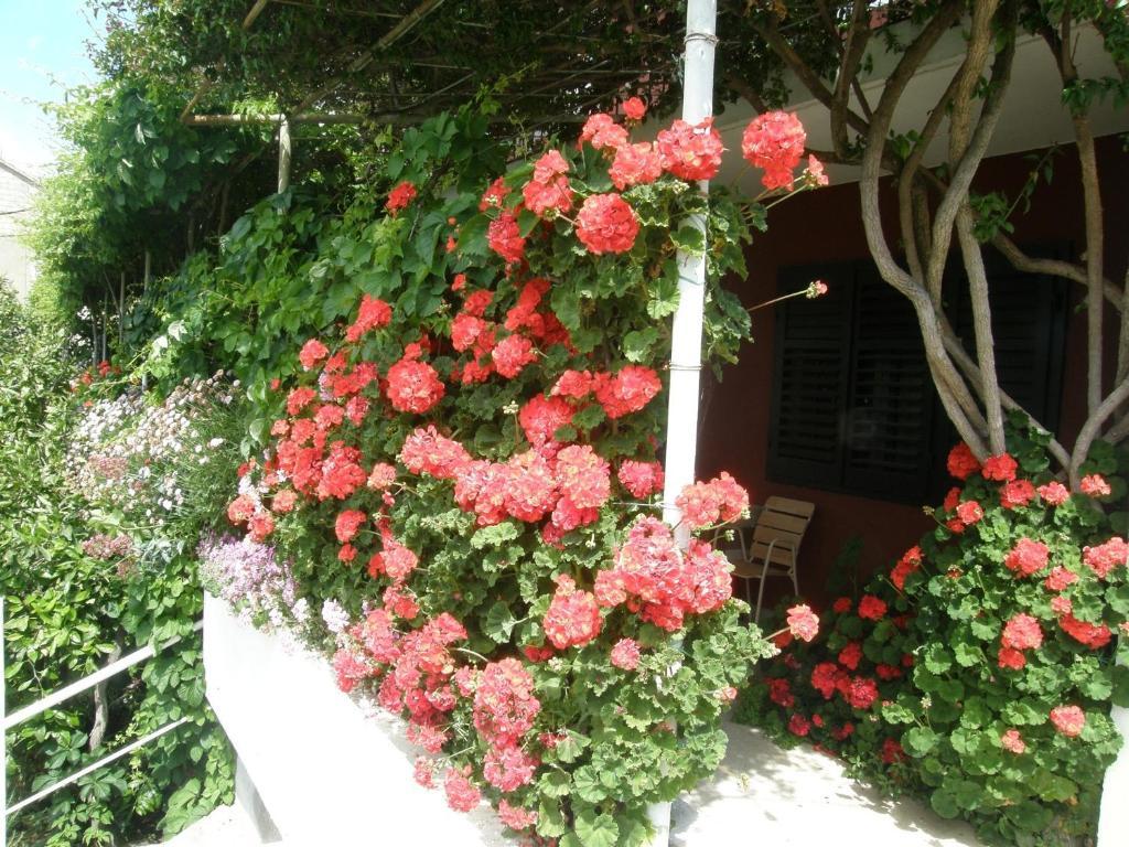 Apartmani Luna Hvar Town Buitenkant foto