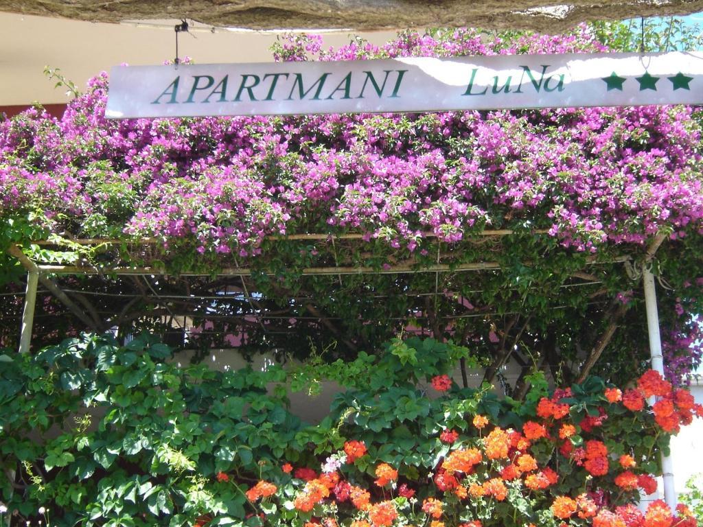 Apartmani Luna Hvar Town Buitenkant foto